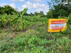 43032.jpg - การสำรวจที่ดินและสิ่งปลูกสร้าง  ในเขตเทศบาลตำบลสันป่าตอง เพื่อใช้ในการประเมินภาษีที่ดินและสิ่งปลูกสร้าง ประจำปี พ.ศ. 2567 | https://www.sanpatong.go.th