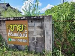 44231.jpg - การสำรวจที่ดินและสิ่งปลูกสร้าง  ในเขตเทศบาลตำบลสันป่าตอง เพื่อใช้ในการประเมินภาษีที่ดินและสิ่งปลูกสร้าง ประจำปี พ.ศ. 2567 | https://www.sanpatong.go.th