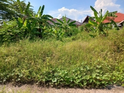 44252.jpg - การสำรวจที่ดินและสิ่งปลูกสร้าง  ในเขตเทศบาลตำบลสันป่าตอง เพื่อใช้ในการประเมินภาษีที่ดินและสิ่งปลูกสร้าง ประจำปี พ.ศ. 2567 | https://www.sanpatong.go.th
