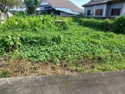 44264.jpg - การสำรวจที่ดินและสิ่งปลูกสร้าง  ในเขตเทศบาลตำบลสันป่าตอง เพื่อใช้ในการประเมินภาษีที่ดินและสิ่งปลูกสร้าง ประจำปี พ.ศ. 2567 | https://www.sanpatong.go.th