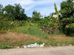 44267.jpg - การสำรวจที่ดินและสิ่งปลูกสร้าง  ในเขตเทศบาลตำบลสันป่าตอง เพื่อใช้ในการประเมินภาษีที่ดินและสิ่งปลูกสร้าง ประจำปี พ.ศ. 2567 | https://www.sanpatong.go.th