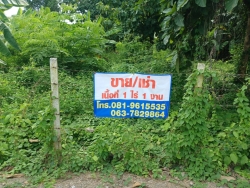 47739.jpg - การสำรวจที่ดินและสิ่งปลูกสร้าง  ในเขตเทศบาลตำบลสันป่าตอง เพื่อใช้ในการประเมินภาษีที่ดินและสิ่งปลูกสร้าง ประจำปี พ.ศ. 2567 | https://www.sanpatong.go.th