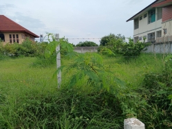 47755.jpg - การสำรวจที่ดินและสิ่งปลูกสร้าง  ในเขตเทศบาลตำบลสันป่าตอง เพื่อใช้ในการประเมินภาษีที่ดินและสิ่งปลูกสร้าง ประจำปี พ.ศ. 2567 | https://www.sanpatong.go.th