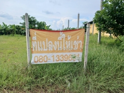 47761.jpg - การสำรวจที่ดินและสิ่งปลูกสร้าง  ในเขตเทศบาลตำบลสันป่าตอง เพื่อใช้ในการประเมินภาษีที่ดินและสิ่งปลูกสร้าง ประจำปี พ.ศ. 2567 | https://www.sanpatong.go.th