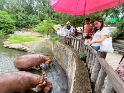 176353_0.jpg - กองการศึกษา เทศบาลตำบลสันป่าตองได้จัดโครงการจัดกิจกรรมพัฒนาผู้เรียนสำหรับเด็กปฐมวัย ศูนย์พัฒนาเด็กเล็กเทศบาลตำบลสันป่าตอง ประจำปีงบประมาณ 2568 | https://www.sanpatong.go.th