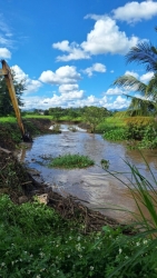 12.jpg - เทศบาลตำบลสันป่าตอง ร่วมกับ องค์การบริหารส่วนจังหวัดเชียงใหม่ ได้ร่วมทำกิจกรรมกำจัดผักตบชวาและวัชพืชในแหล่งน้ำสาธารณะ  | https://www.sanpatong.go.th