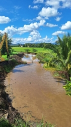 13.jpg - เทศบาลตำบลสันป่าตอง ร่วมกับ องค์การบริหารส่วนจังหวัดเชียงใหม่ ได้ร่วมทำกิจกรรมกำจัดผักตบชวาและวัชพืชในแหล่งน้ำสาธารณะ  | https://www.sanpatong.go.th
