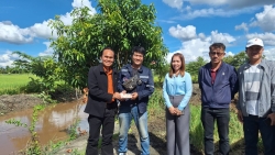 6.jpg - เทศบาลตำบลสันป่าตอง ร่วมกับ องค์การบริหารส่วนจังหวัดเชียงใหม่ ได้ร่วมทำกิจกรรมกำจัดผักตบชวาและวัชพืชในแหล่งน้ำสาธารณะ  | https://www.sanpatong.go.th