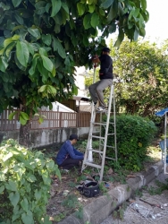 2.jpg - ซ่อมแซมไฟฟ้าสาธารณะ ภายในเขตเทศบาลตำบลสันป่าตอง | https://www.sanpatong.go.th