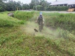 35980.jpg - งานสวนสาธารณะ กองช่าง ได้ดำเนินการทำความสะอาดกำจัดวัชพืช สวนสาธารณะภายในบริเวณเขตเทศบาลตำบลสันป่าตอง | https://www.sanpatong.go.th