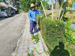 36441.jpg - งานสวนสาธารณะ กองช่าง ได้ดำเนินการทำความสะอาดกำจัดวัชพืช สวนสาธารณะบริเวณกาดสลีบัวตอง และบริเวณตรงข้ามศาลเจ้าสลีบัวตอง | https://www.sanpatong.go.th