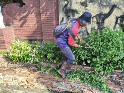 36443.jpg - งานสวนสาธารณะ กองช่าง ได้ดำเนินการทำความสะอาดกำจัดวัชพืช สวนสาธารณะบริเวณกาดสลีบัวตอง และบริเวณตรงข้ามศาลเจ้าสลีบัวตอง | https://www.sanpatong.go.th