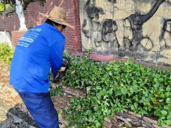 36444.jpg - งานสวนสาธารณะ กองช่าง ได้ดำเนินการทำความสะอาดกำจัดวัชพืช สวนสาธารณะบริเวณกาดสลีบัวตอง และบริเวณตรงข้ามศาลเจ้าสลีบัวตอง | https://www.sanpatong.go.th