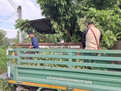 33799.jpg - งานป้องกันและบรรเทาสาธารณภัยร่วมงานกองสาธารณสุข ร่วมกันตัดกิ่งไม้ที่ยื่นกีดขวามการจราจร เพื่อเป็นการลดอุบัติเหตุ | https://www.sanpatong.go.th