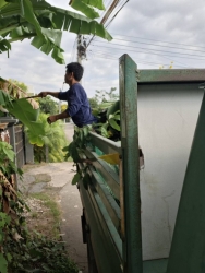 33801.jpg - งานป้องกันและบรรเทาสาธารณภัยร่วมงานกองสาธารณสุข ร่วมกันตัดกิ่งไม้ที่ยื่นกีดขวามการจราจร เพื่อเป็นการลดอุบัติเหตุ | https://www.sanpatong.go.th