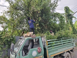 33808.jpg - งานป้องกันและบรรเทาสาธารณภัยร่วมงานกองสาธารณสุข ร่วมกันตัดกิ่งไม้ที่ยื่นกีดขวามการจราจร เพื่อเป็นการลดอุบัติเหตุ | https://www.sanpatong.go.th