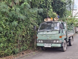 33810.jpg - งานป้องกันและบรรเทาสาธารณภัยร่วมงานกองสาธารณสุข ร่วมกันตัดกิ่งไม้ที่ยื่นกีดขวามการจราจร เพื่อเป็นการลดอุบัติเหตุ | https://www.sanpatong.go.th
