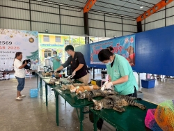 S__13443082.jpg - เทศบาลตำบลสันป่าตอง ร่วมกับมูลนิธิ แฮนด์ ทู พอว์  จัดกิจกรรมการควบคุมประชากรสัตว์ โดยการผ่าตัดทำหมันแมว ตามโครงการรณรงค์ป้องกันโรคพิษสุนัขบ้า ภายใต้โครงการสัตว์ปลอดโรค คนปลอดภัยฯ ประจำปี 2569  ณ อาคาร 25 ปี เทศบาลตำบลสันป่าตอง | https://www.sanpatong.go.th