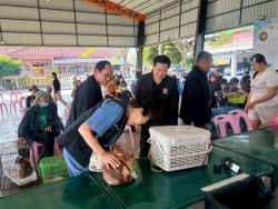 S__13443088.jpg - เทศบาลตำบลสันป่าตอง ร่วมกับมูลนิธิ แฮนด์ ทู พอว์  จัดกิจกรรมการควบคุมประชากรสัตว์ โดยการผ่าตัดทำหมันแมว ตามโครงการรณรงค์ป้องกันโรคพิษสุนัขบ้า ภายใต้โครงการสัตว์ปลอดโรค คนปลอดภัยฯ ประจำปี 2569  ณ อาคาร 25 ปี เทศบาลตำบลสันป่าตอง | https://www.sanpatong.go.th