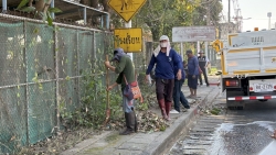 S__19161110.jpg - เทศบาลตำบลสันป่าตอง ได้ทำความสะอาดถนนหนทาง เพื่อความเป็นระเบียบเรียบร้อย สะอาด สวยงาม   ต้อนรับปีใหม่ | https://www.sanpatong.go.th