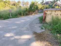 40272.jpg - กองช่าง เทศบาลตำบลสันป่าตอง ได้ดำเนินการซ่อมแซมถนนและไหล่ทาง บริเวณถนนบ้านไร่ | https://www.sanpatong.go.th