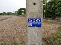 127884.jpg - เทศบาลตำบลสันป่ตอง พร้อมกับกองช่าง งานไฟฟ้าสาธารณะซ่อมไฟเปลี่ยนหลอดไฟ กำจัดวัชพืช ถ.บ้านพร้าวล้อม | https://www.sanpatong.go.th