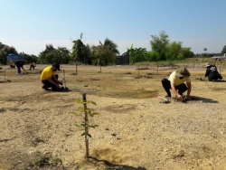 8.jpg - กิจกรรมโครงการปลูกต้นไม้และปลูกป่าเฉลิมพระเกียรติฯ ณ บริเวณพื้นที่ 19 ไร่ เทศบาลตำบลสันป่าตอง วันที่ 5 พฤษภาคม 2563  | https://www.sanpatong.go.th