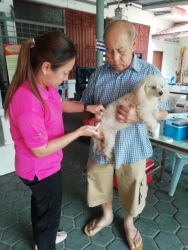 โครงการรณรงค์ป้องกันโรคพิษสุนัขบ้า ประจำปี 2563 ภาพที่ 4 | https://www.sanpatong.go.th