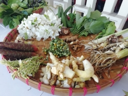 โครการส่งเสริมภูมิปัญญาไทยในการสร้างเสริมสุขภาพผู้สูงอายุ ภาพที่ 8 | https://www.sanpatong.go.th