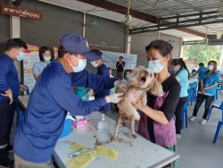 S__12632087.jpg - วันพฤหัสบดีที่ 5 พฤษภาคม 2565 เทศบาลตำบลสันป่าตอง ให้บริการฉีดวัคซีนป้องกันโรคพิษสุนัขบ้า ประจำปี 2565 | https://www.sanpatong.go.th