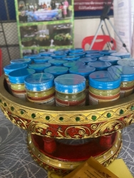 เทศบาลตำบลสันป่าตองร่วมกับหน่วยงานพัฒนาชุมชนอำเภอสันป่าตอง จัดงานโอทอป ณ ศาลาประชาคมหมู่บ้านศาลา หมู่ที่11 ตำบลยุหว่า อำเภอสันป่าตอง จังหวัดเชียงใหม่ ภาพที่ 8 | https://www.sanpatong.go.th