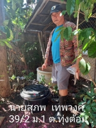เทศบาลตำบลสันป่าตอง ดำเนิีนการขับเคลื่อนแผนปฏิบัติการ Re-X-ray  ถังขยะเปียกลดโลกร้อน   ภาพที่ 8 | https://www.sanpatong.go.th
