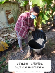 73022.jpg - เทศบาลตำบลสันป่าตอง ดำเนิีนการขับเคลื่อนแผนปฏิบัติการ Re-X-ray  ถังขยะเปียกลดโลกร้อน   | https://www.sanpatong.go.th