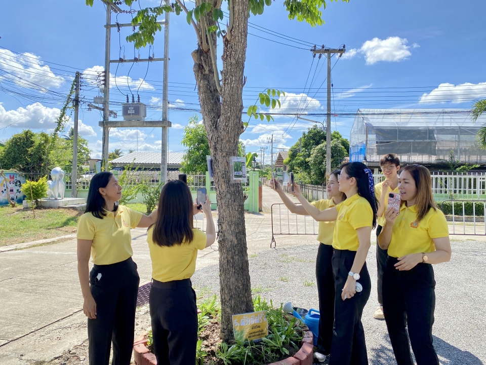 เทศบาลตำบลสันป่าตอง ได้ดำเนินการจัดกิจกรรมโครงการ 1 อปท 1 สวนสมุนไพรเฉลิมพระเกียรติ พระบาทสมเด็จพระเจ้าอยู่หัว เนื่องในโอกาสพระราชพิธีมหามงคลเฉลิมพระชนมพรรษา 6 รอบ 26 กรกฎาคม 2567  ภาพที่ 62 | https://www.sanpatong.go.th