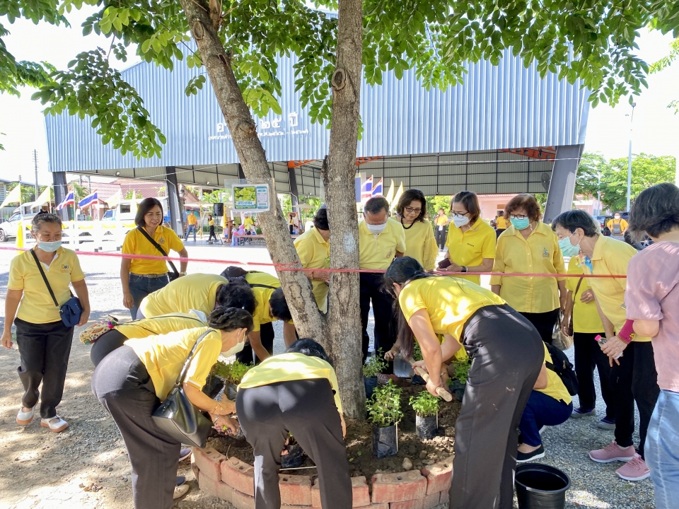 เทศบาลตำบลสันป่าตอง ได้ดำเนินการจัดกิจกรรมโครงการ 1 อปท 1 สวนสมุนไพรเฉลิมพระเกียรติ พระบาทสมเด็จพระเจ้าอยู่หัว เนื่องในโอกาสพระราชพิธีมหามงคลเฉลิมพระชนมพรรษา 6 รอบ 26 กรกฎาคม 2567  ภาพที่ 17 | https://www.sanpatong.go.th
