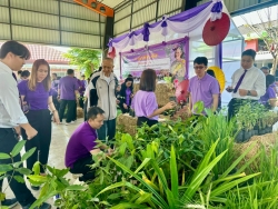 เทศบาลตำบลสันป่าตอง ได้ดำเนินการจัดกิจกรรมโครงการอนุรักษ์พันธุกรรมพืชอันเนื่องมาจากพระราชดำริฯ ภาพที่ 61 | https://www.sanpatong.go.th