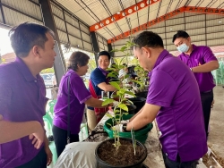 เทศบาลตำบลสันป่าตอง ได้ดำเนินการจัดกิจกรรมโครงการอนุรักษ์พันธุกรรมพืชอันเนื่องมาจากพระราชดำริฯ ภาพที่ 67 | https://www.sanpatong.go.th