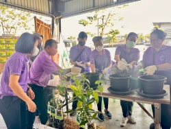 เทศบาลตำบลสันป่าตอง ได้ดำเนินการจัดกิจกรรมโครงการอนุรักษ์พันธุกรรมพืชอันเนื่องมาจากพระราชดำริฯ ภาพที่ 75 | https://www.sanpatong.go.th