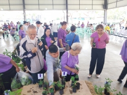เทศบาลตำบลสันป่าตอง ได้ดำเนินการจัดกิจกรรมโครงการอนุรักษ์พันธุกรรมพืชอันเนื่องมาจากพระราชดำริฯ ภาพที่ 14 | https://www.sanpatong.go.th