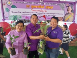 เทศบาลตำบลสันป่าตอง ได้ดำเนินการจัดกิจกรรมโครงการอนุรักษ์พันธุกรรมพืชอันเนื่องมาจากพระราชดำริฯ ภาพที่ 16 | https://www.sanpatong.go.th