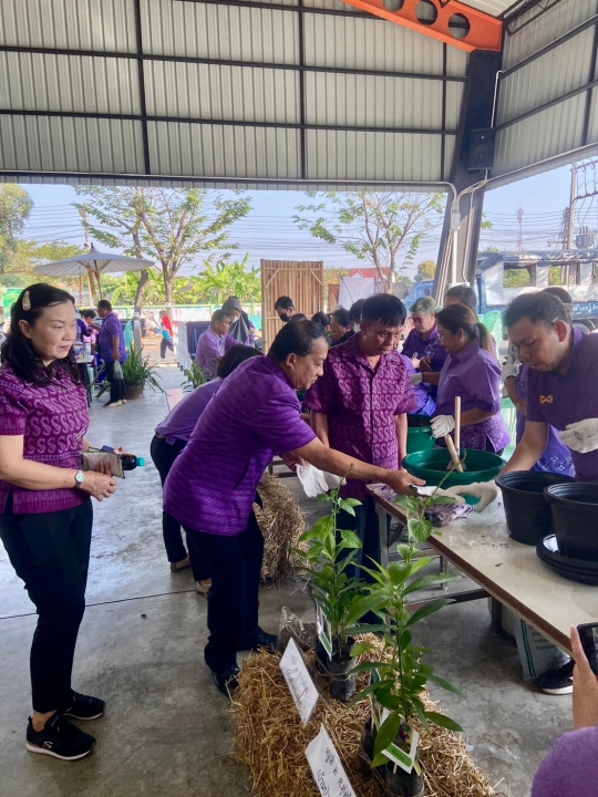 เทศบาลตำบลสันป่าตอง ได้ดำเนินการจัดกิจกรรมโครงการอนุรักษ์พันธุกรรมพืชอันเนื่องมาจากพระราชดำริฯ ภาพที่ 39 | https://www.sanpatong.go.th