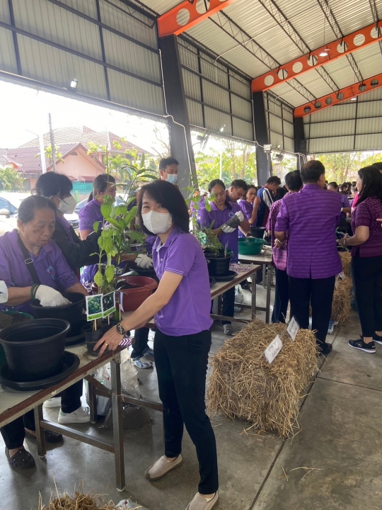 เทศบาลตำบลสันป่าตอง ได้ดำเนินการจัดกิจกรรมโครงการอนุรักษ์พันธุกรรมพืชอันเนื่องมาจากพระราชดำริฯ ภาพที่ 41 | https://www.sanpatong.go.th