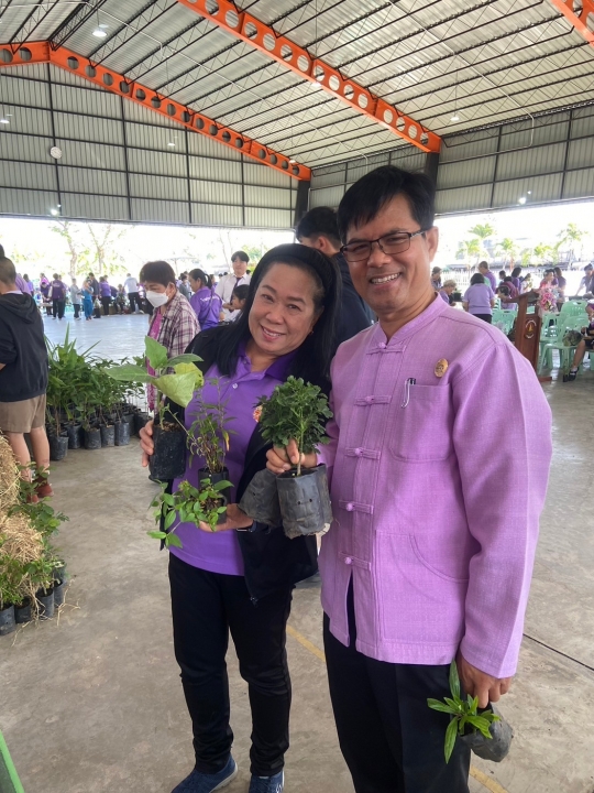เทศบาลตำบลสันป่าตอง ได้ดำเนินการจัดกิจกรรมโครงการอนุรักษ์พันธุกรรมพืชอันเนื่องมาจากพระราชดำริฯ ภาพที่ 43 | https://www.sanpatong.go.th