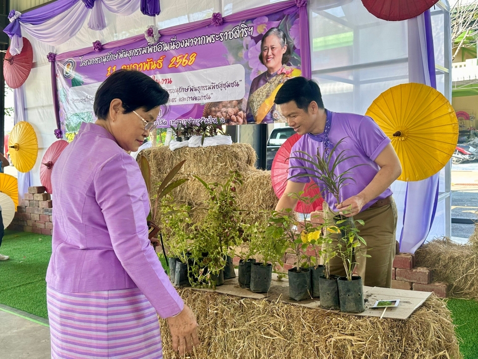 เทศบาลตำบลสันป่าตอง ได้ดำเนินการจัดกิจกรรมโครงการอนุรักษ์พันธุกรรมพืชอันเนื่องมาจากพระราชดำริฯ ภาพที่ 51 | https://www.sanpatong.go.th