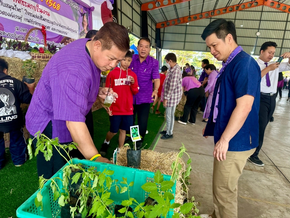 เทศบาลตำบลสันป่าตอง ได้ดำเนินการจัดกิจกรรมโครงการอนุรักษ์พันธุกรรมพืชอันเนื่องมาจากพระราชดำริฯ ภาพที่ 57 | https://www.sanpatong.go.th