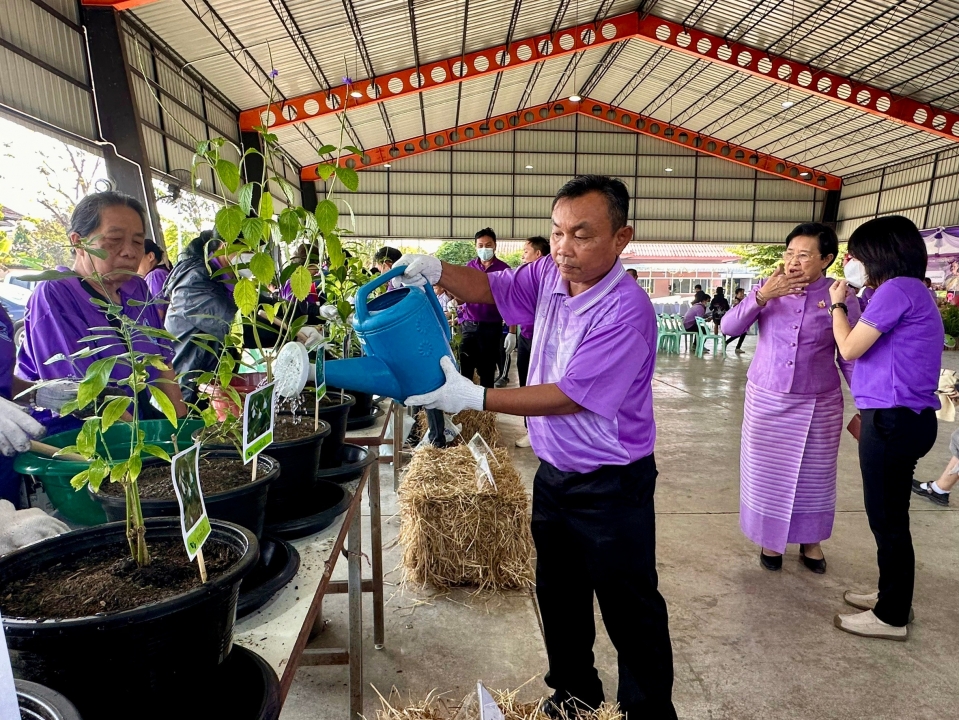 เทศบาลตำบลสันป่าตอง ได้ดำเนินการจัดกิจกรรมโครงการอนุรักษ์พันธุกรรมพืชอันเนื่องมาจากพระราชดำริฯ ภาพที่ 68 | https://www.sanpatong.go.th