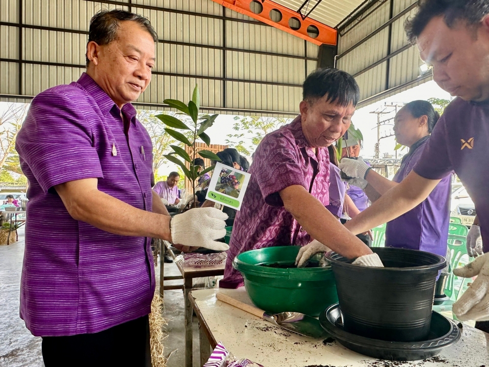 เทศบาลตำบลสันป่าตอง ได้ดำเนินการจัดกิจกรรมโครงการอนุรักษ์พันธุกรรมพืชอันเนื่องมาจากพระราชดำริฯ ภาพที่ 73 | https://www.sanpatong.go.th