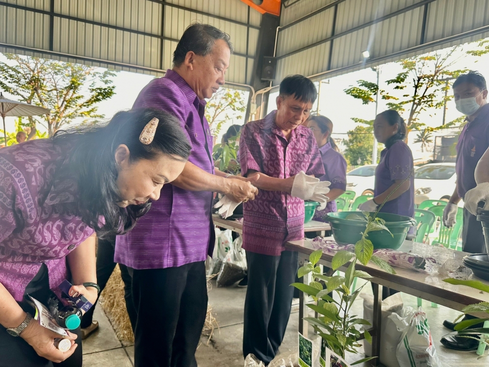 เทศบาลตำบลสันป่าตอง ได้ดำเนินการจัดกิจกรรมโครงการอนุรักษ์พันธุกรรมพืชอันเนื่องมาจากพระราชดำริฯ ภาพที่ 74 | https://www.sanpatong.go.th