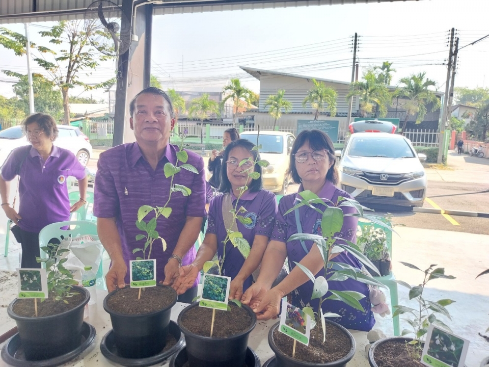 เทศบาลตำบลสันป่าตอง ได้ดำเนินการจัดกิจกรรมโครงการอนุรักษ์พันธุกรรมพืชอันเนื่องมาจากพระราชดำริฯ ภาพที่ 9 | https://www.sanpatong.go.th
