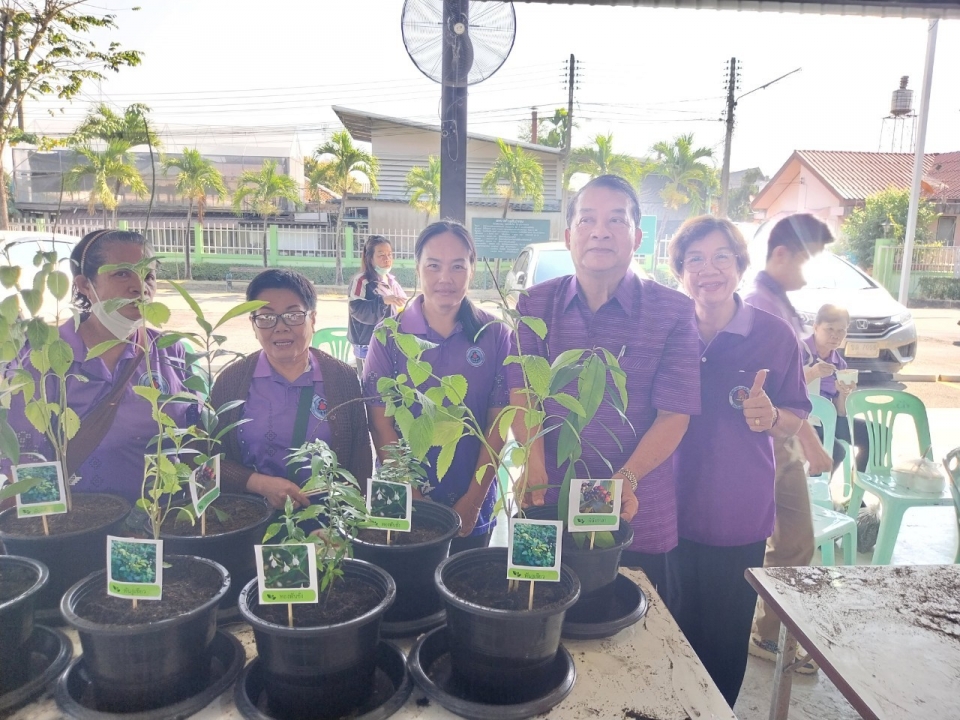 เทศบาลตำบลสันป่าตอง ได้ดำเนินการจัดกิจกรรมโครงการอนุรักษ์พันธุกรรมพืชอันเนื่องมาจากพระราชดำริฯ ภาพที่ 10 | https://www.sanpatong.go.th